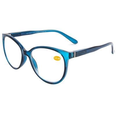 reading glasses dischem